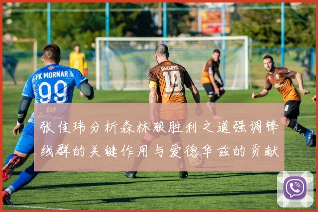 张佳玮分析森林狼胜利之道强调锋线群的关键作用与爱德华兹的贡献