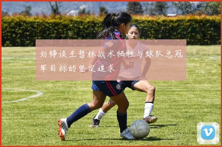 刘铮谈王哲林战术牺牲与球队总冠军目标的坚定追求